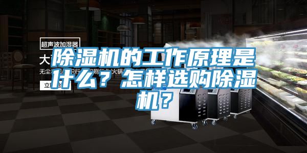 除濕機的工作原理是什么？怎樣選購除濕機？